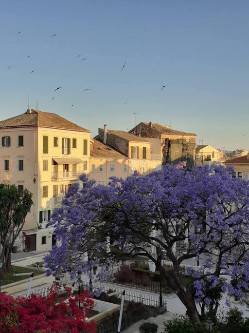 Old Town Corfu Romantic Studio Manto Nymfes Apartamento Exterior foto