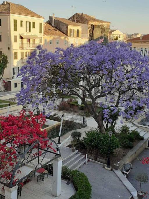 Old Town Corfu Romantic Studio Manto Nymfes Apartamento Exterior foto