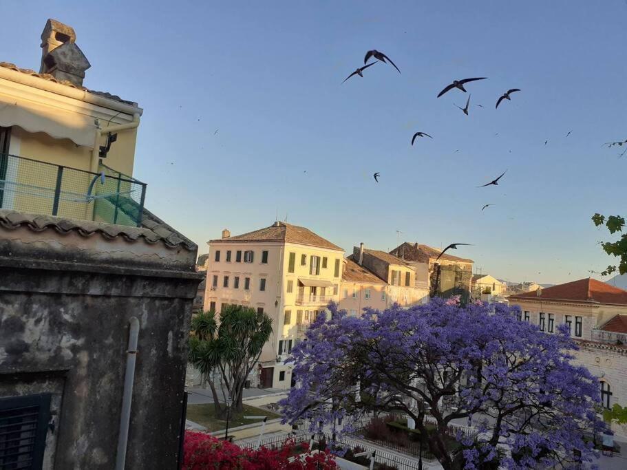 Old Town Corfu Romantic Studio Manto Nymfes Apartamento Exterior foto